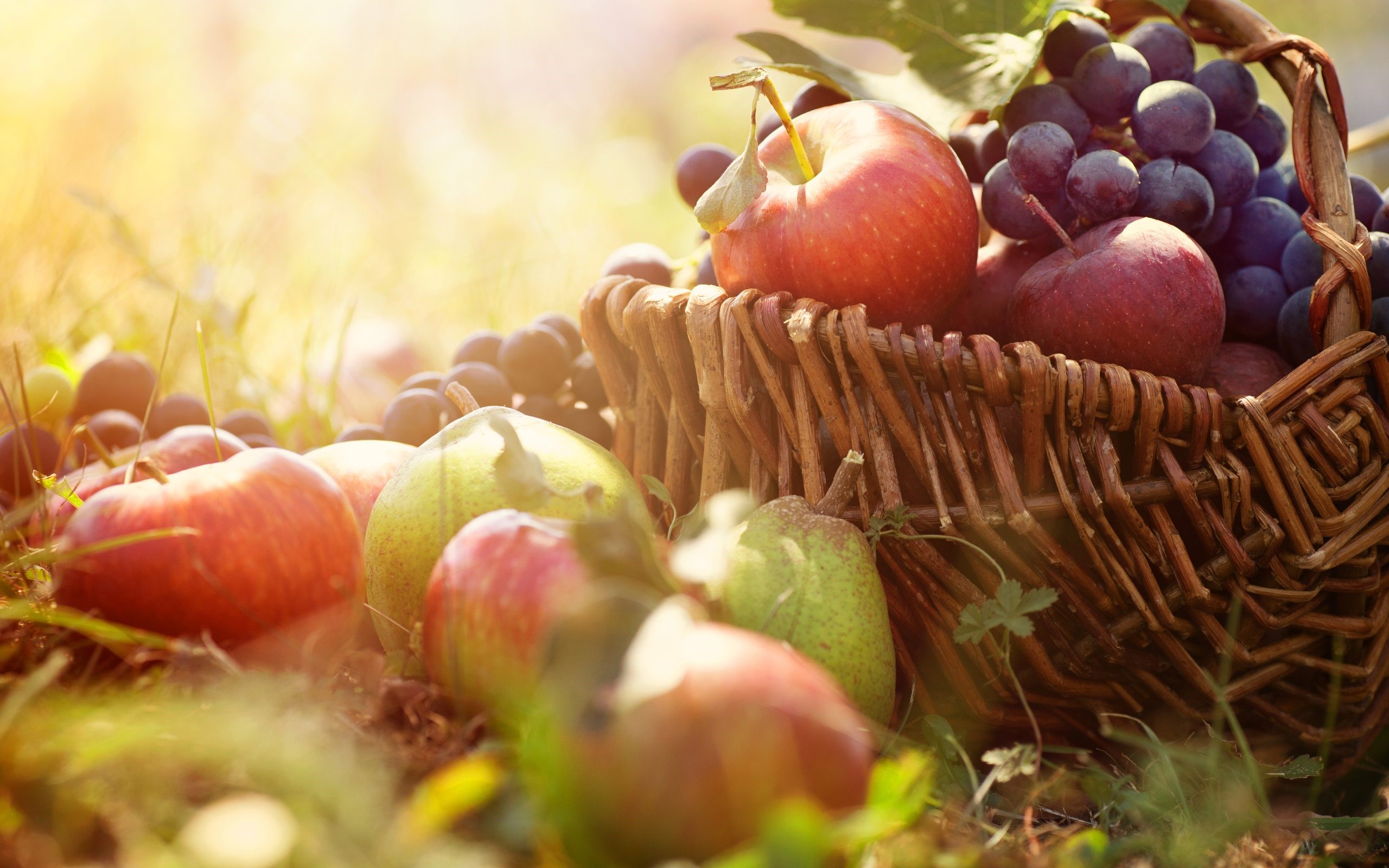 Autumn's Bounty: A Celebration Of Harvest In The Twin Cities